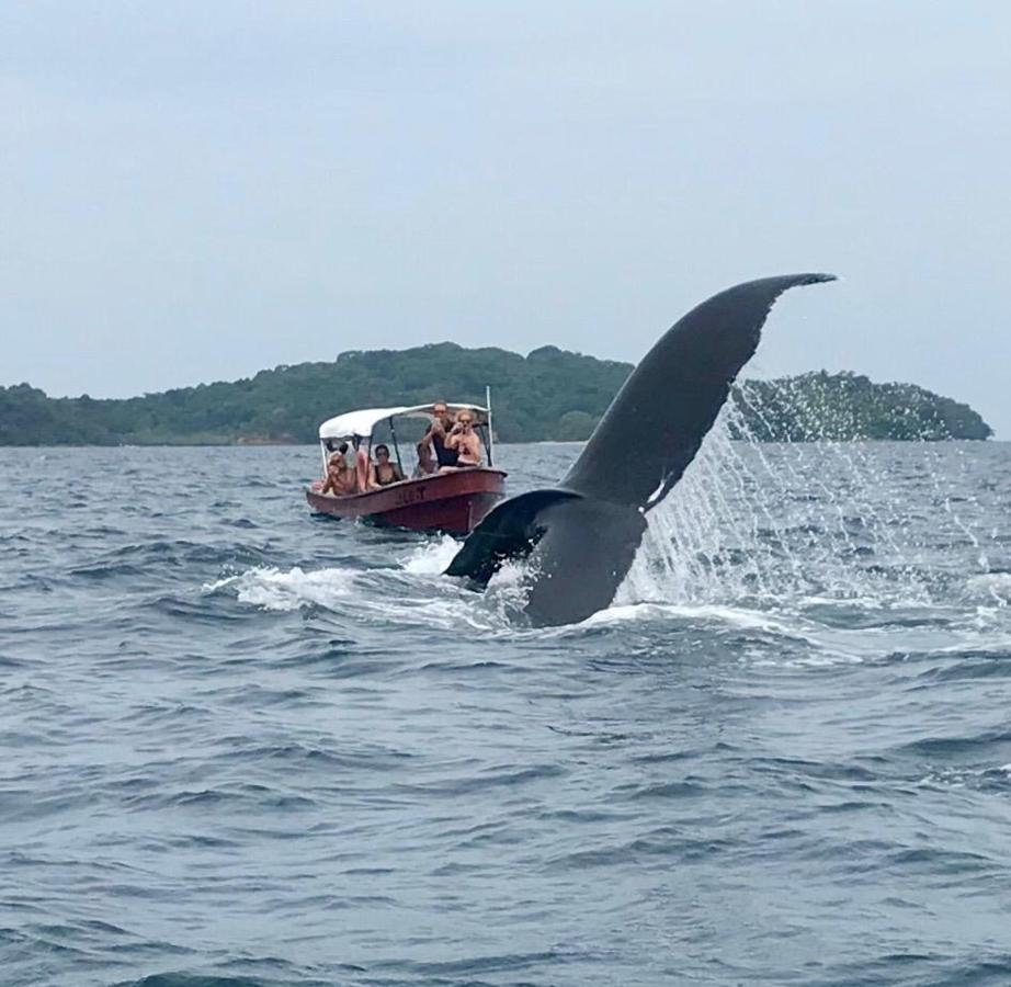 Hotel Mar Y Oro Contadora Island Zewnętrze zdjęcie